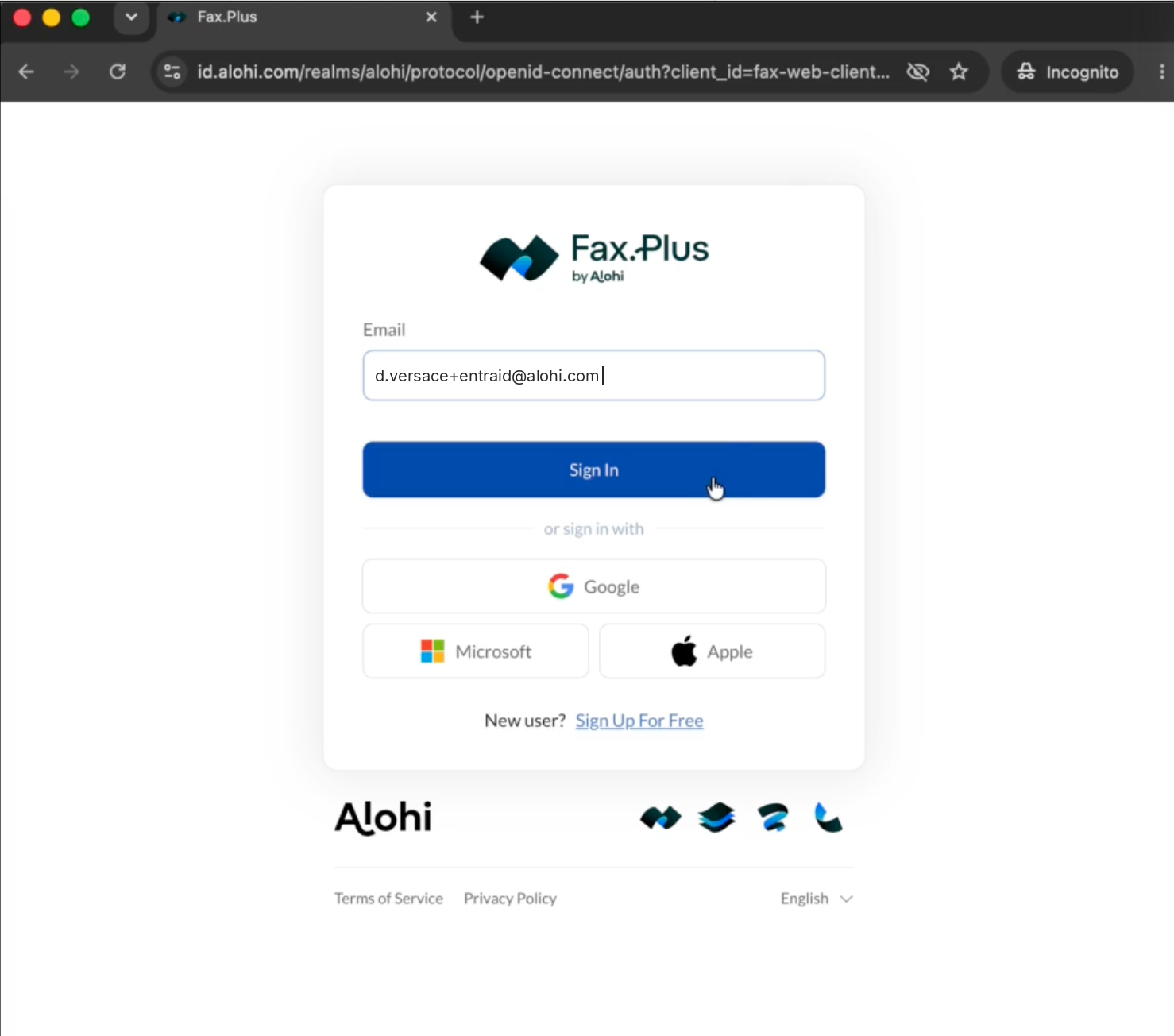 first_login_email_entry.png